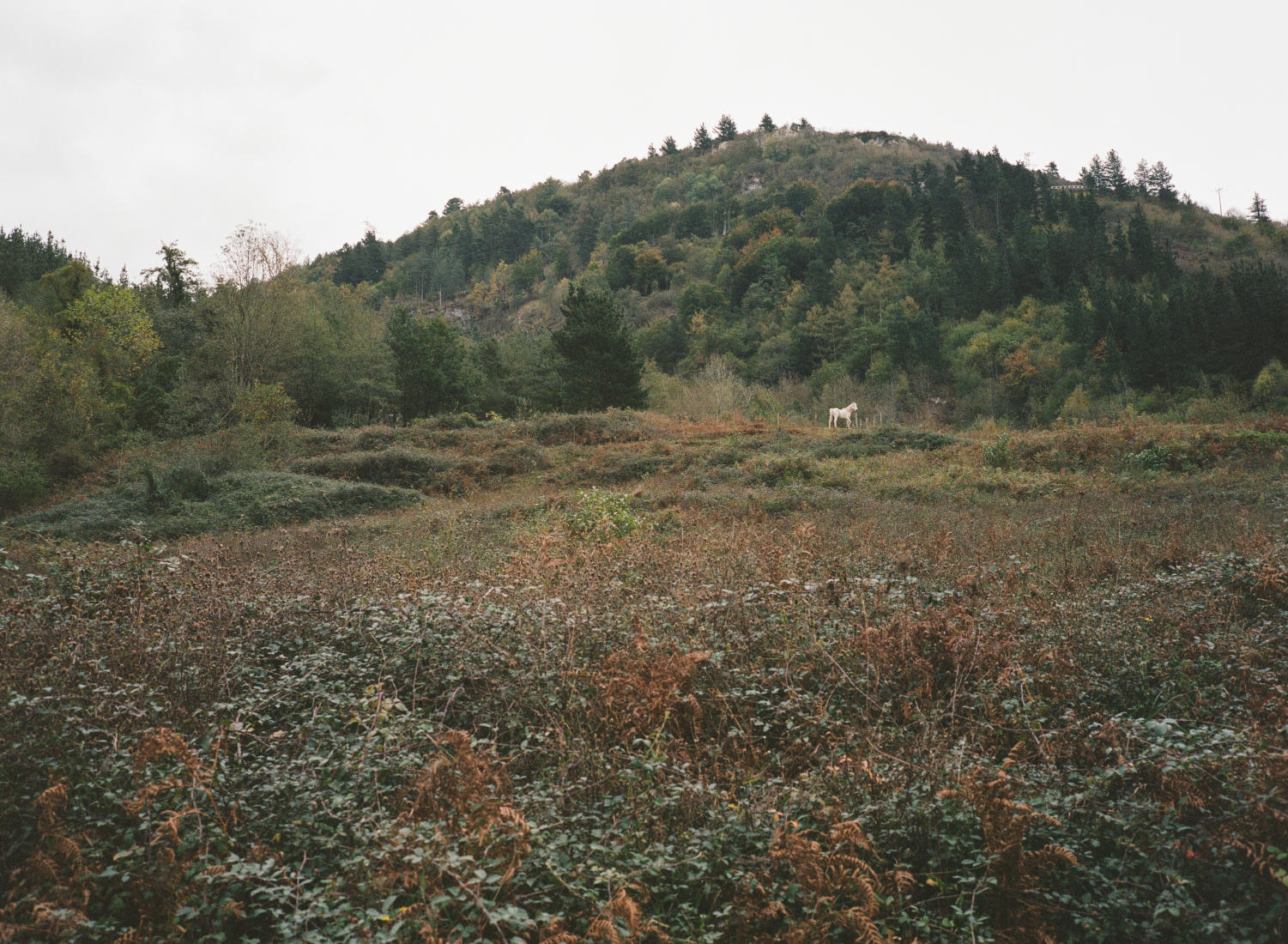  : Travel : ALIZA BARAN