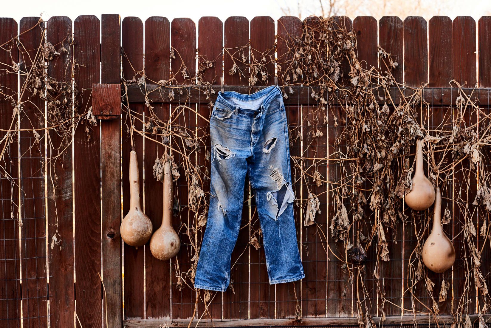  : Still Life : ALIZA BARAN